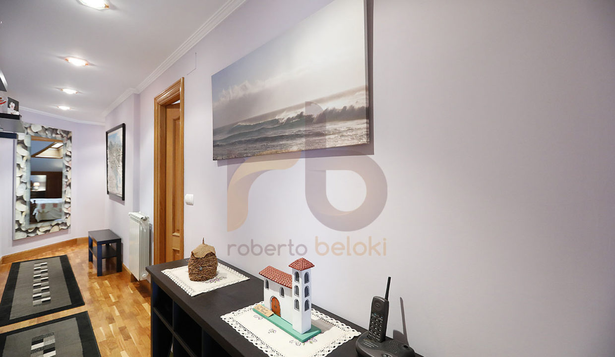 Roberto Beloki P1626 (20)-M copia