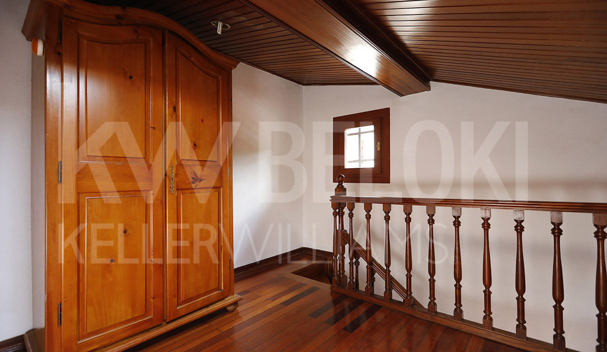 Roberto Beloki DP1302 (21)-M