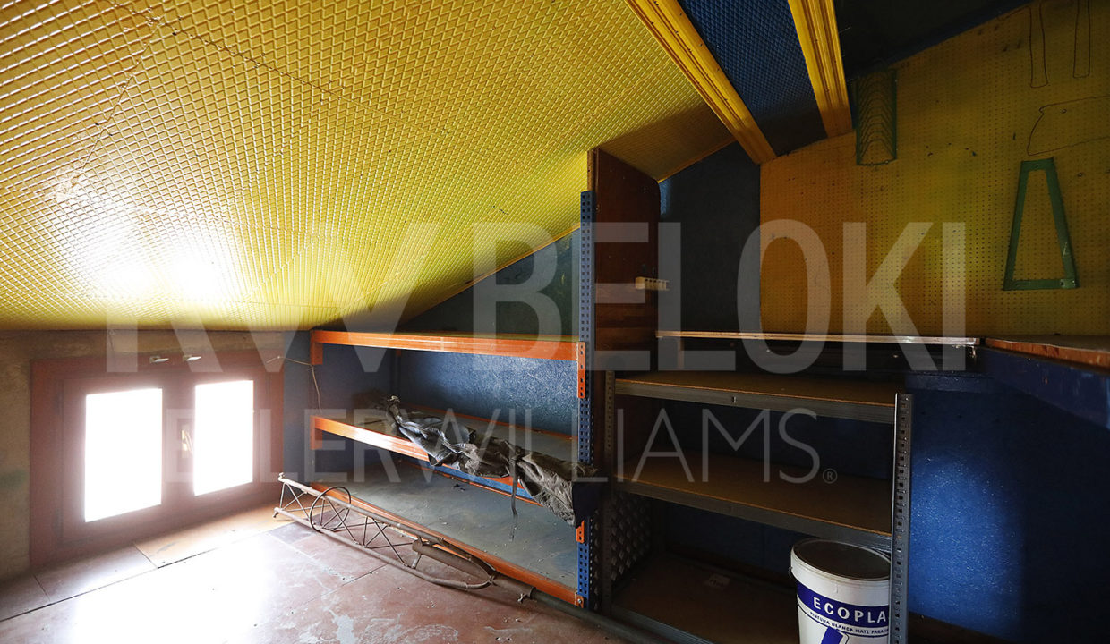 Roberto Beloki DP1302 (23)-M
