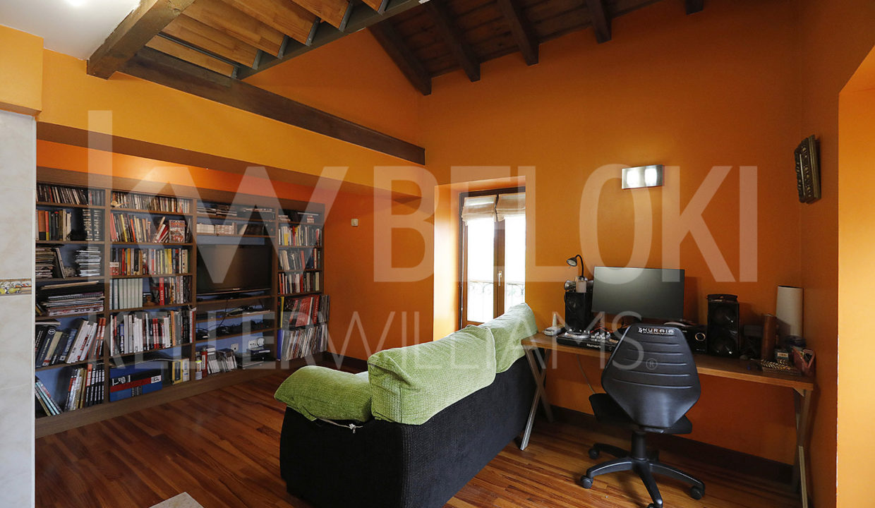 Roberto Beloki P1689 (17)-M