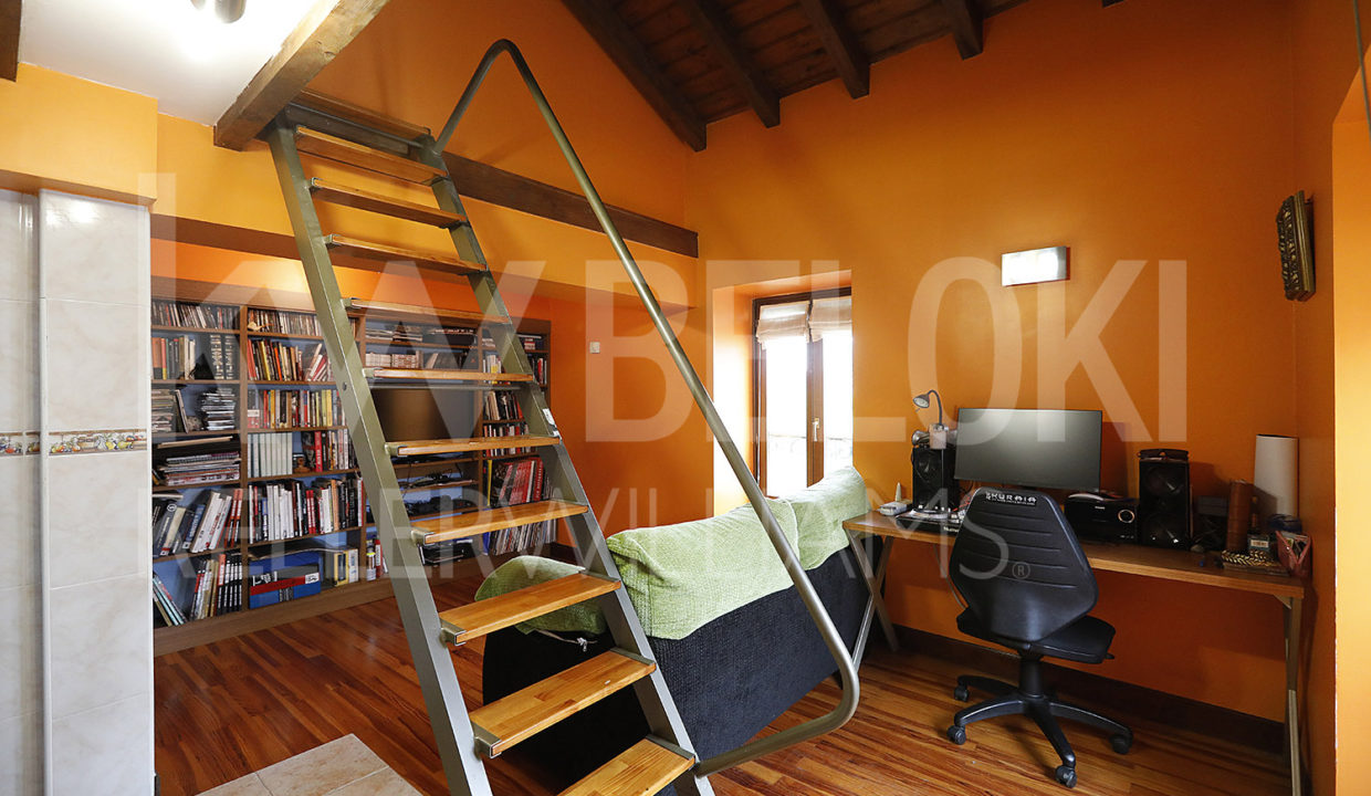 Roberto Beloki P1689 (20)-M