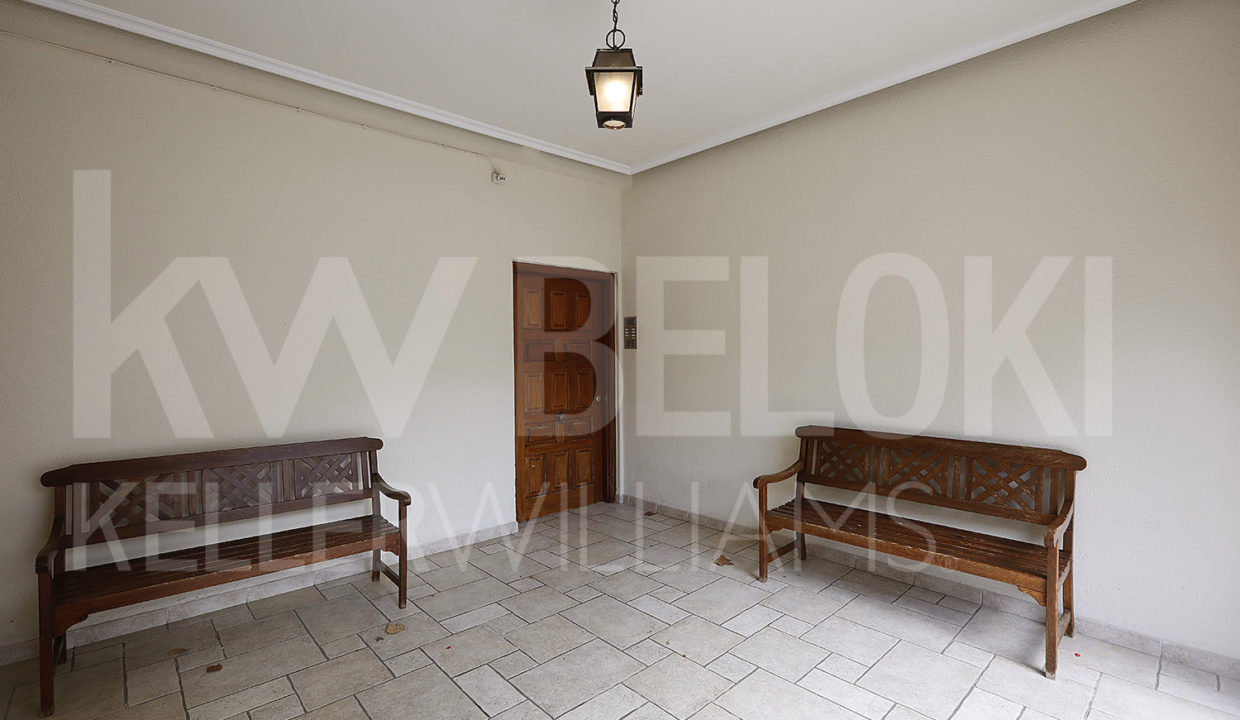 Roberto Beloki DP1343 (3)-M