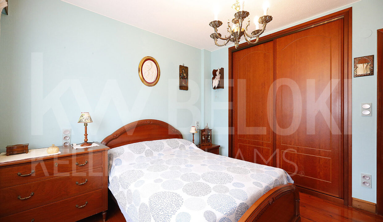 P2023 (19)-M