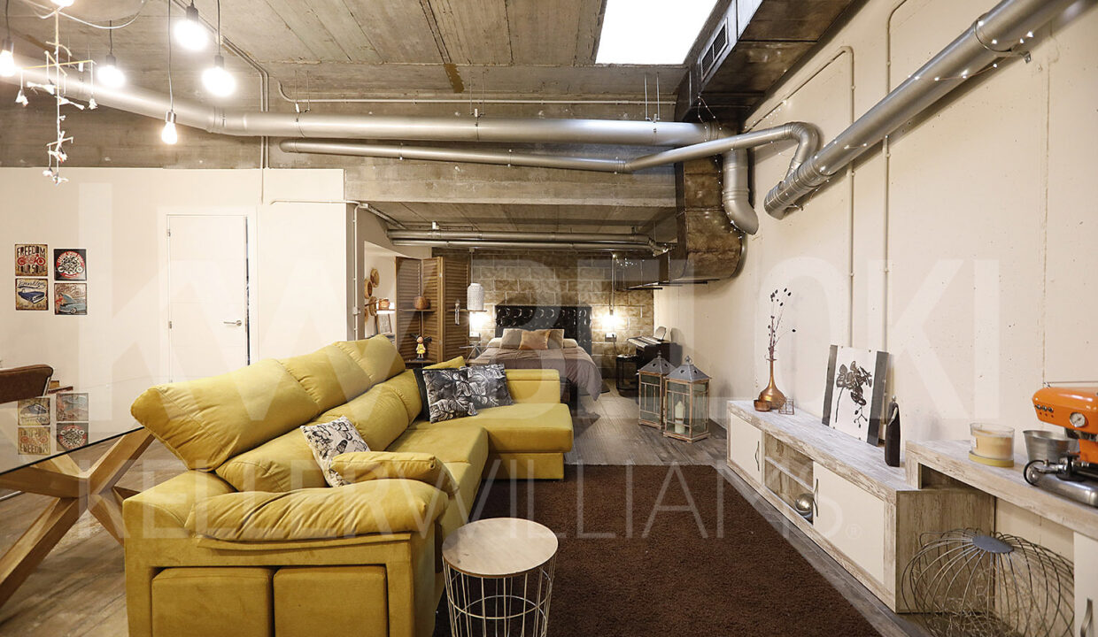 Roberto Beloki IP1731 (32)-M