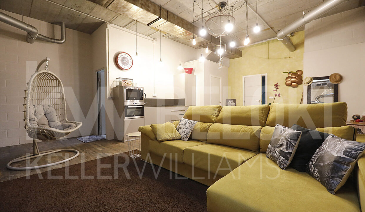 Roberto Beloki IP1731 (36)-M