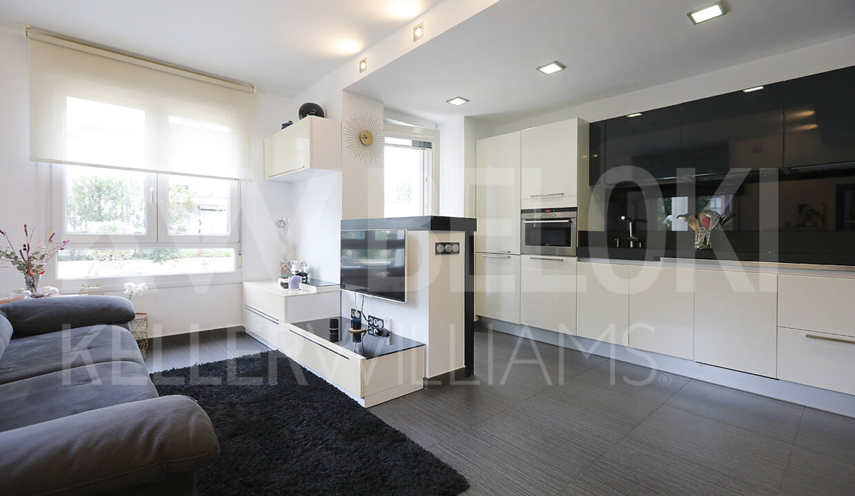 Roberto Beloki IP1731 (6)-M