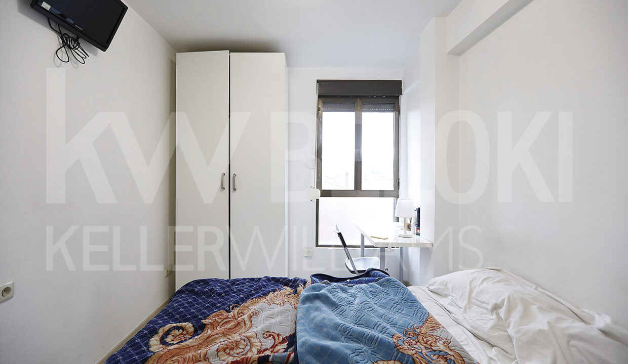 Roberto Beloki DP1790 (12)-M