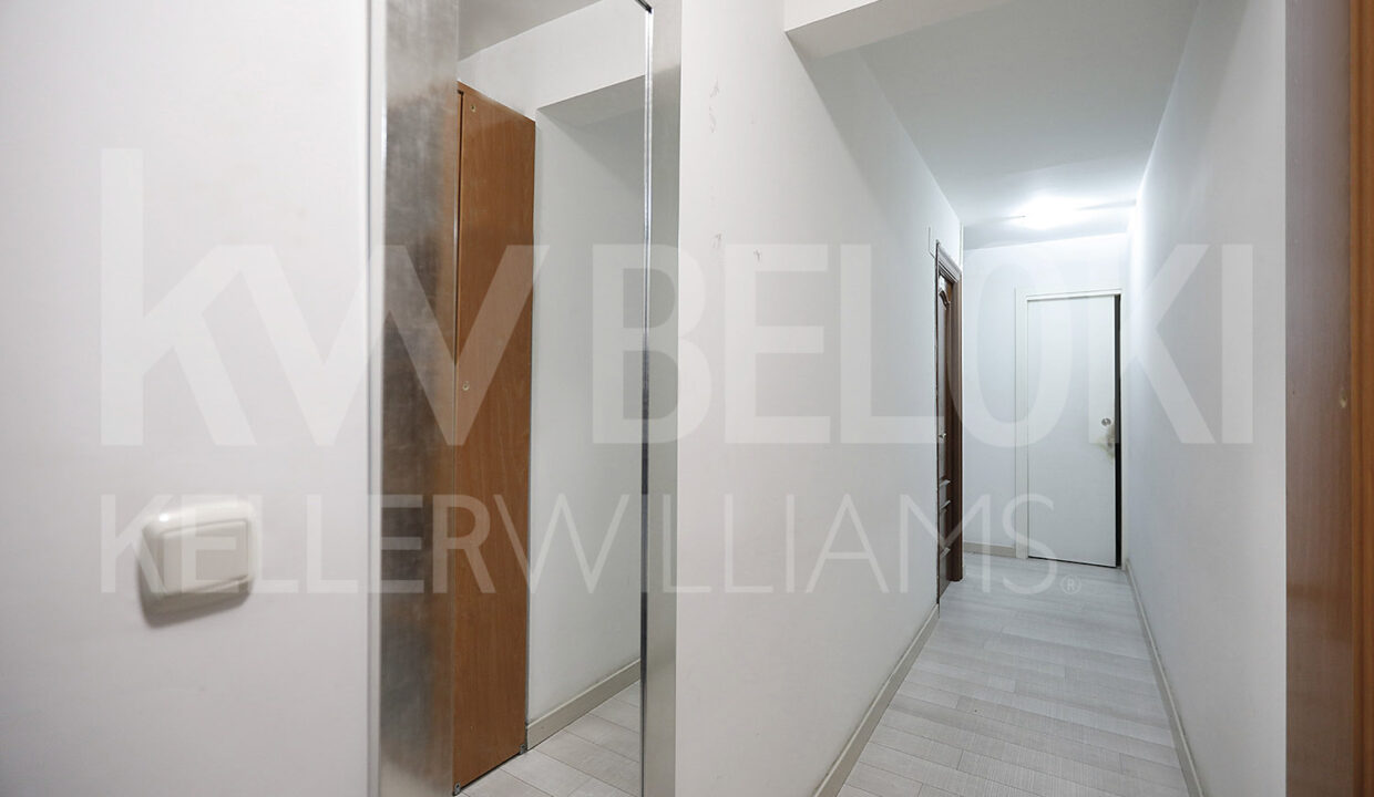 Roberto Beloki DP1790 (14)-M