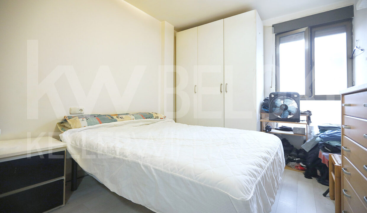 Roberto Beloki DP1790 (20)-M