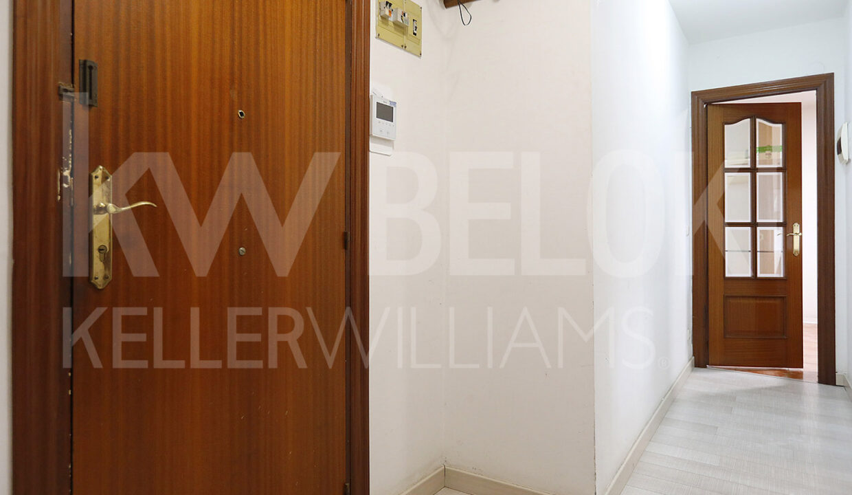 Roberto Beloki DP1790 (4)-M