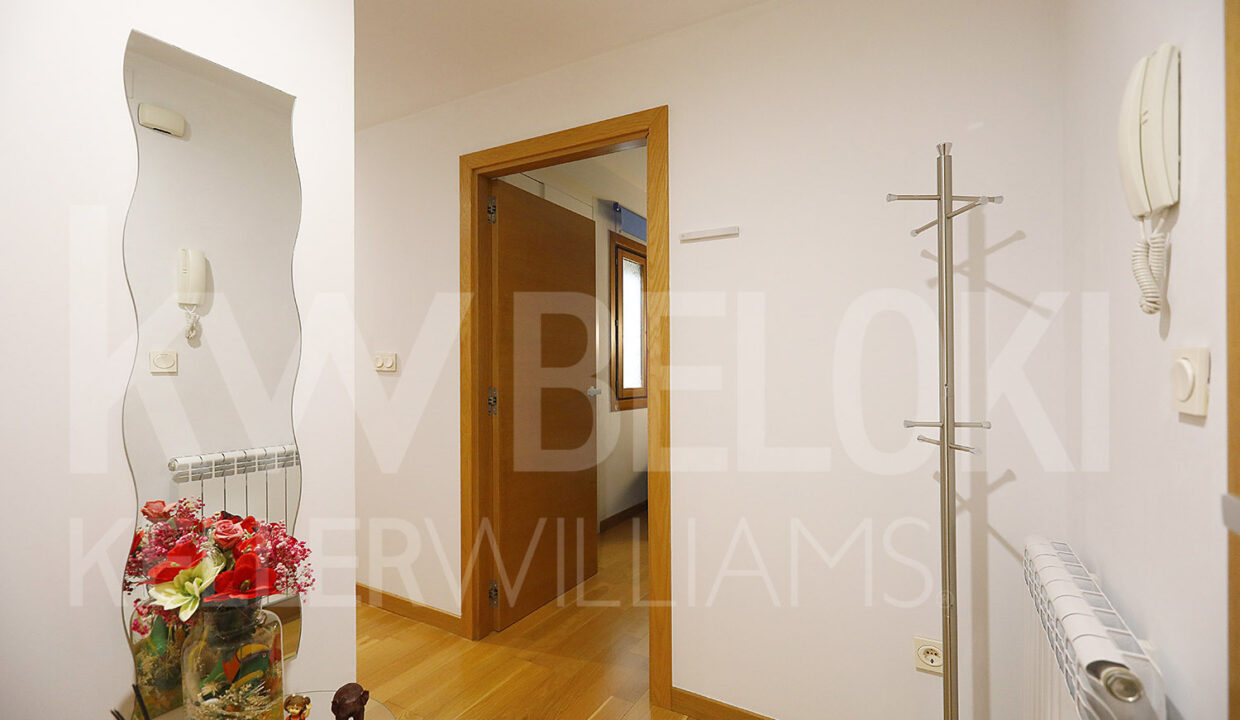 Roberto Beloki IP1733 (2)-M