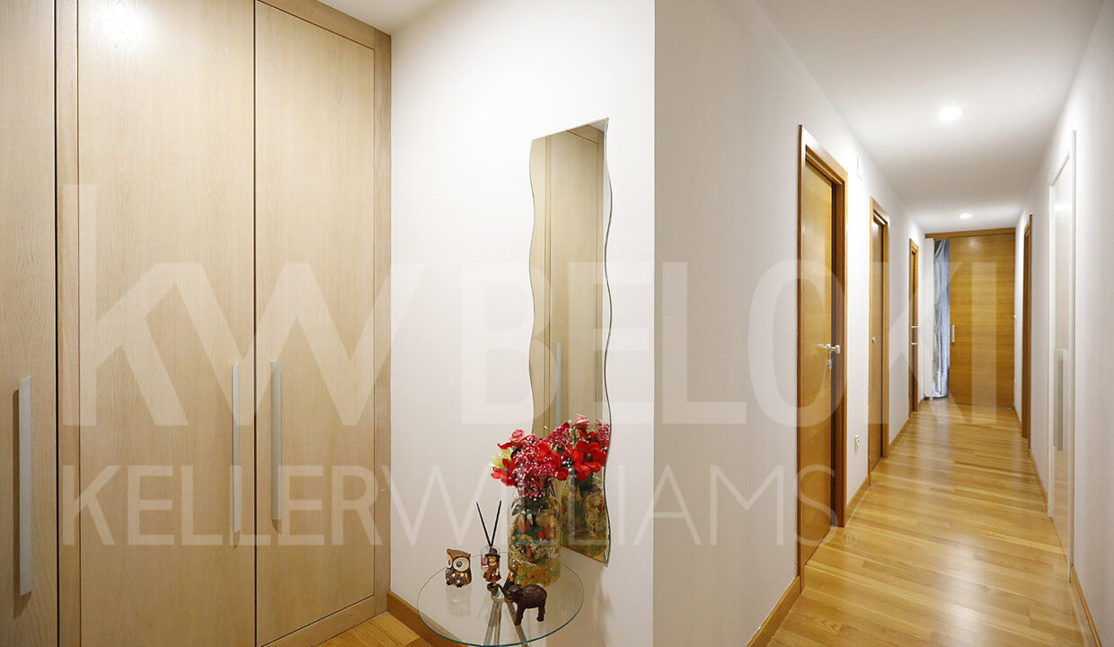 Roberto Beloki IP1733 (4)-M