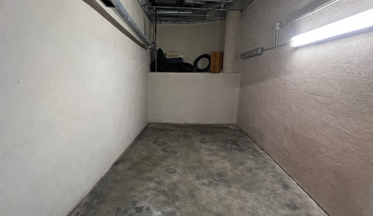 ChatGPT Image 22 dic 2025, 20_58_48