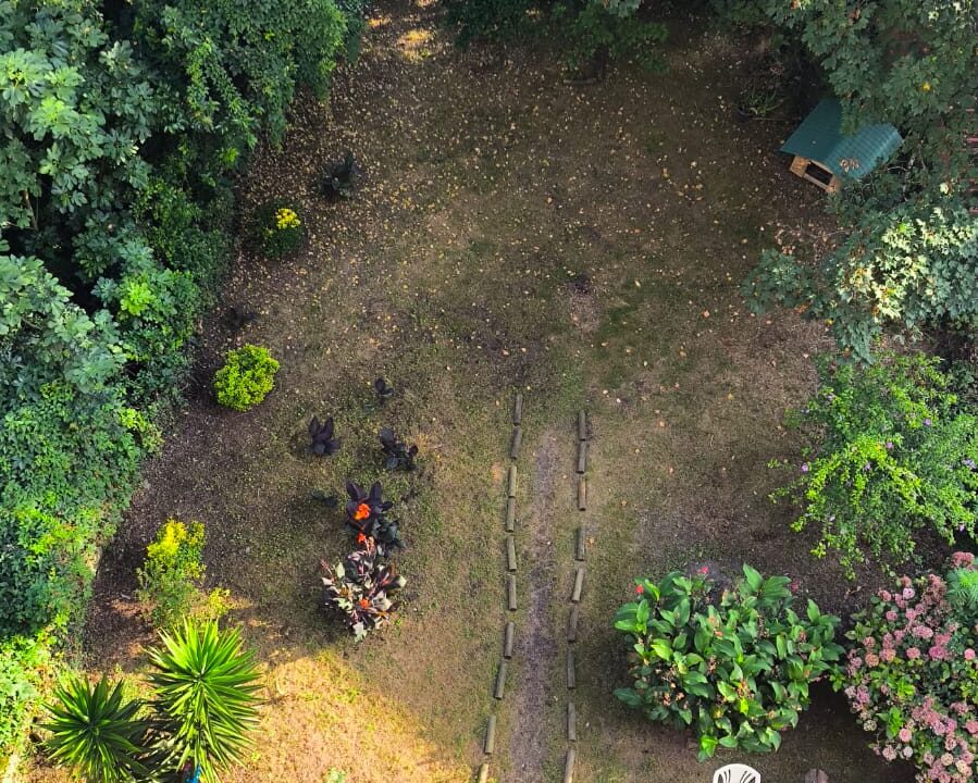 WhatsApp Image 2026-02-13 at 16.49.43