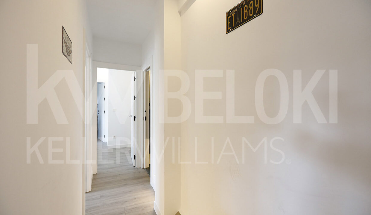 Roberto Beloki DP1793 (11)-M