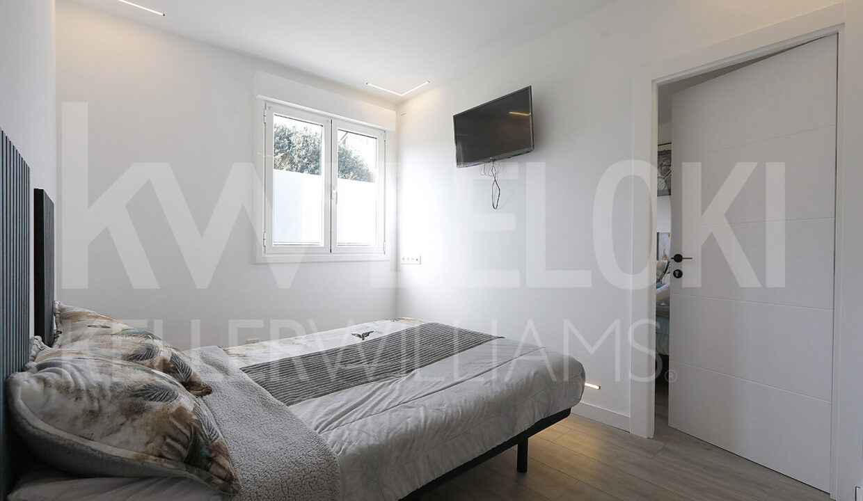 Roberto Beloki DP1793 (19)-M