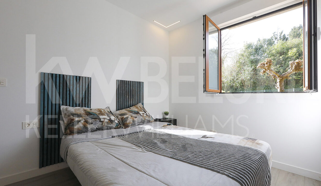 Roberto Beloki DP1793 (22)-M