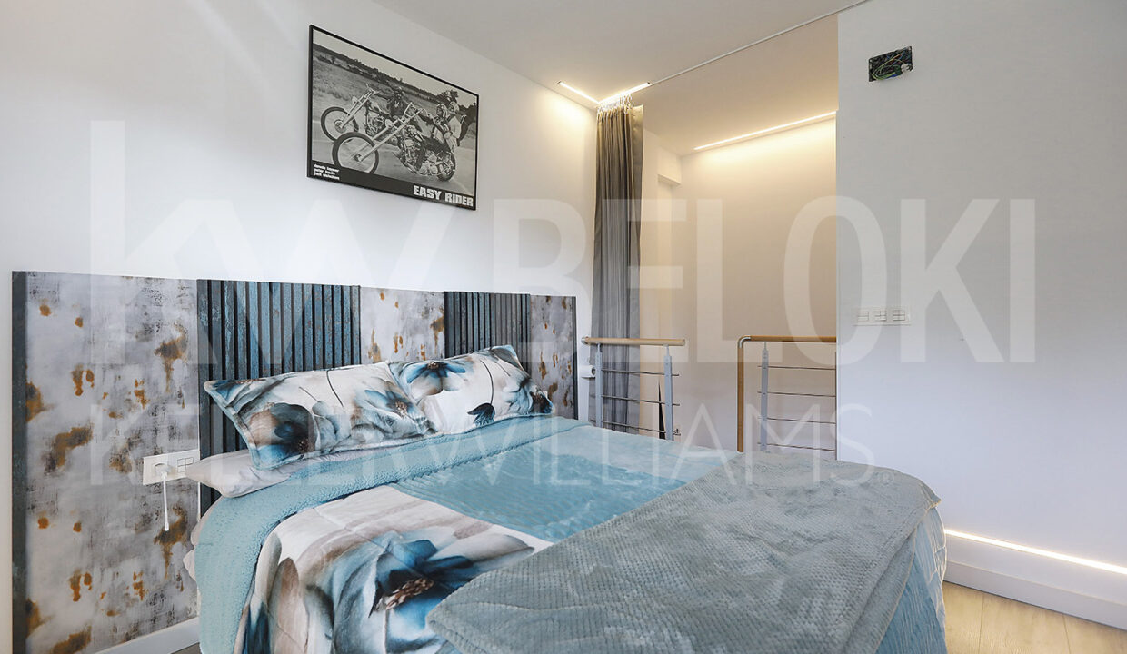 Roberto Beloki DP1793 (26)-M