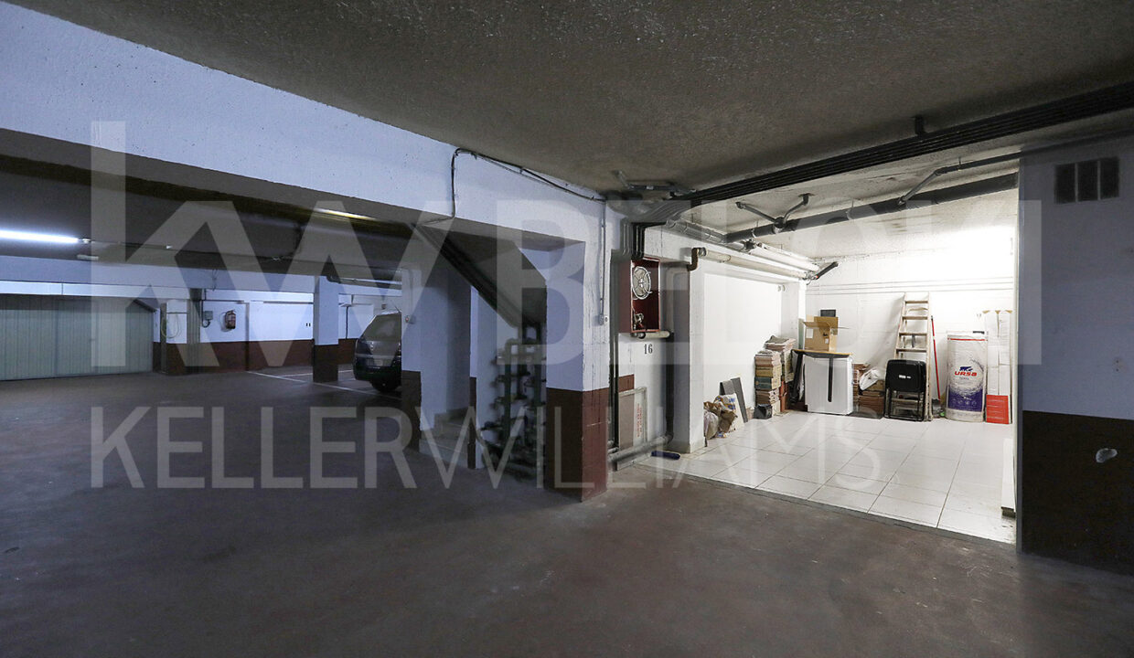 Roberto Beloki DP1793 (37)-M