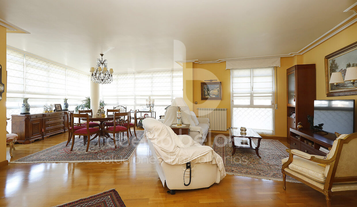 Roberto Beloki P2051 (5)-M