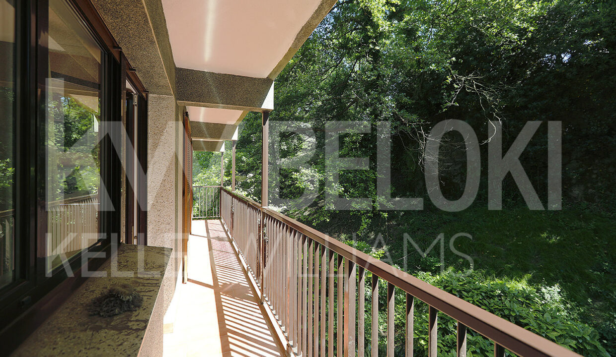 Beloki DP1801 (6)-M