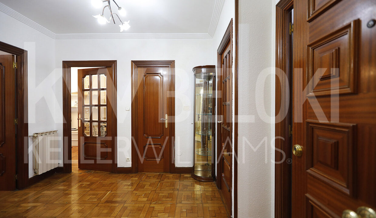 Roberto Beloki DP1803 (2)-M