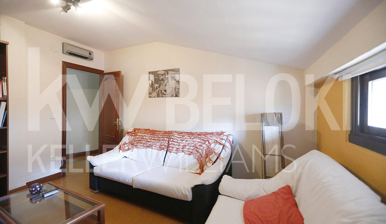Beloki PP1704 (7)-M