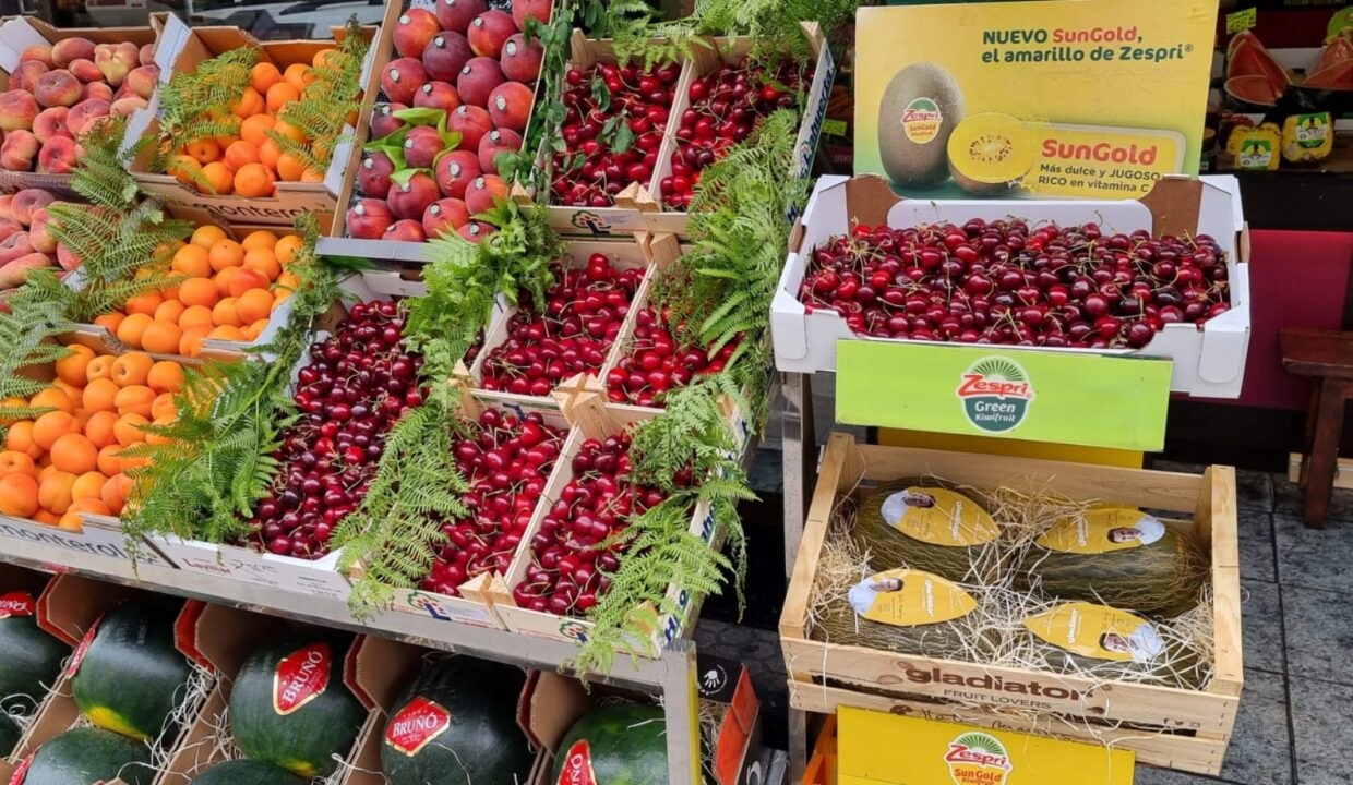 DN1707 (57)